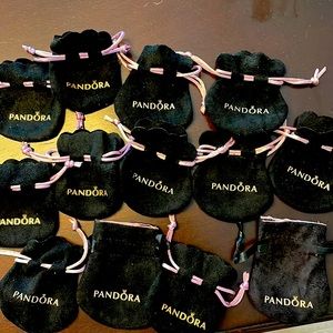 Pandora and Tiffany & Co pouches, boxes, & bags